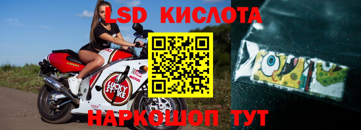 Лсд 25 экстази ecstasy  Вход с VPN  Петропавловск-Камчатский 