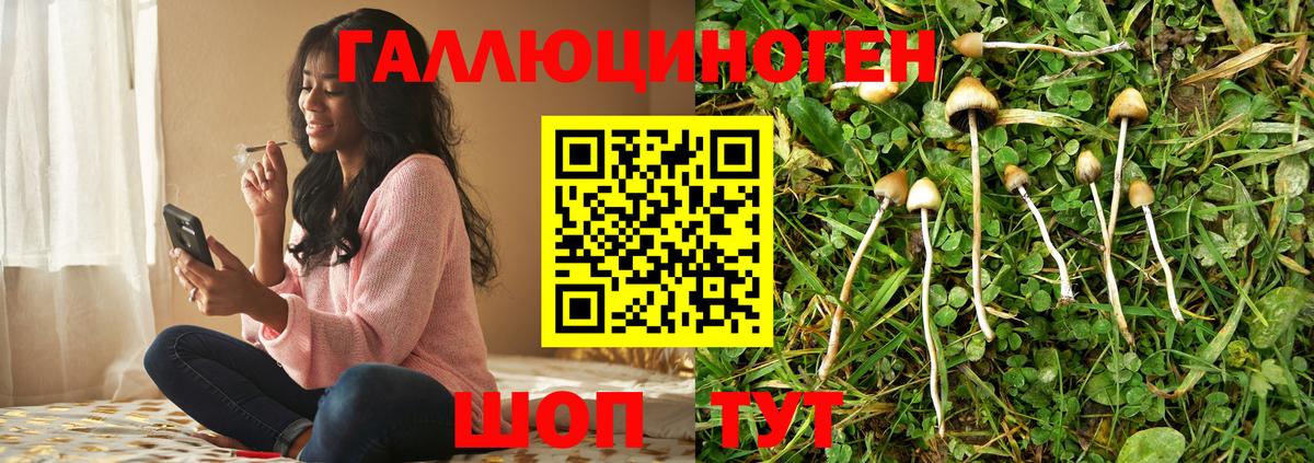 Псилоцибиновые грибы Magic Shrooms Петропавловск-Камчатский