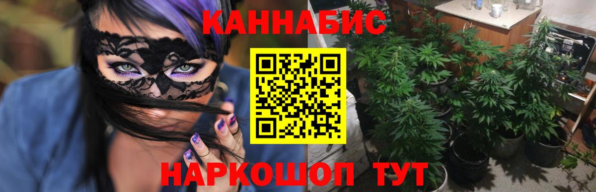 Петропавловск-Камчатский  МАРИХУАНА семена  Вход с VPN  Марихуана планчик  Шишки марихуана тримм  Бошки Шишки Amnesia 